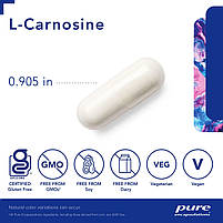 Pure Encapsulations L- Carnosine/Л-карнозин антиоксидант для здоров'я клітин і довголіття 60 капсу BX121, фото 5