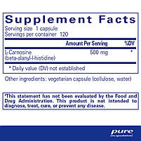 Pure Encapsulations L- Carnosine/Л-карнозин антиоксидант для здоров'я клітин і довголі, 120 капсул BX577, фото 3