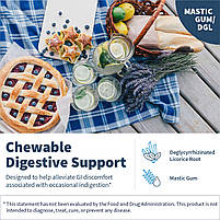 Klaire Mastic Gum/DGL/ Жувальна мастика + солодка 60 жувальних таблеток BX274, фото 6