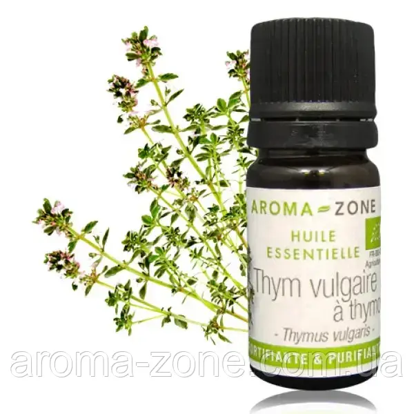 Ефірна олія Чебрець тимольний Прованс (Thymus vulgaris) BIO Об'єм: 30 мл