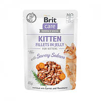 Brit Care Kitten Salmon консерва для котят с филе лосося в желе 85 г