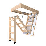 Сходи на горище Bukwood Eco Standard, фото 10