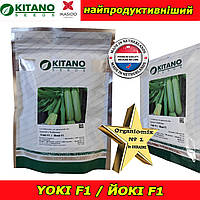 Кабачок пластичний ранній Yoki F1 / Йокі F1 (KS 2446 F1), 250 насінин, ТМ Kitano Seeds