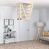 Сходи на горище Bukwood ECO+ Standard, фото 11