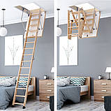 Сходи на горище Bukwood ECO+ Long висота 305 см, фото 10