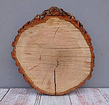 Зріз дерева для рукоділля та творчості (не оброблений) дуб 310х330мм., фото 2