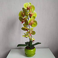 Искусственная латексная орхидея VIP в салатовом керамическом кашпо на одну ветку салатово-розовая.