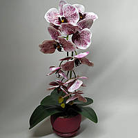 Искусственная латексная орхидея VIP в бордовом керамическом кашпо на одну ветку бордовый градиент