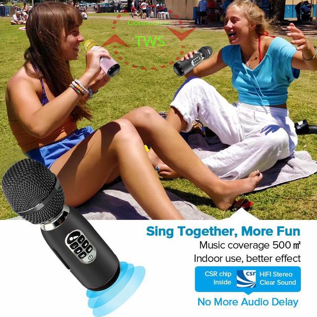 Беспроводной микрофон Lewinner L-699, портативный Bluetooth микрофон для  музыки, профессиональная Колонка для вокала, с рекордером - купить по  выгодной цене | AliExpress