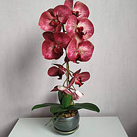 Искусственная латексная орхидея VIP в сером керамическом кашпо на одну ветку бордовая