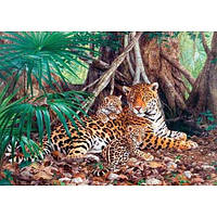 Пазл Касторленд 3000 (280) Леопарды 92*68 см