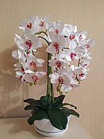 Искусственная латексная орхидея премиум в белом керамическом кашпо на пять ветвей бело-малиновая.