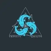 TRINITI BAITS