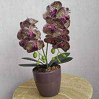 Искусственная латексная мини орхидея в бордовом пластиковом кашпо на две ветки бордовая.