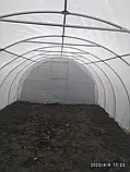 Теплиця "Файна" 3 х 6 м, (труба оцинкована 30х20 мм.), повний комплект "Преміум", плівка UV-4, 120 мкм., фото 4