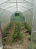 Теплиця "Файна" 3 х 6 м, (труба оцинкована 30х20 мм.), повний комплект "Преміум", плівка UV-6, 150 мкм., фото 2