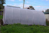 Теплиця "Косиця" 4 х 6 м, (труба оцинкована 20х20 мм.), повний комплект "Преміум", плівка UV-4, 120 мкм., фото 3
