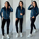 Велюровий спортивний костюм із кофтою на блискавці та штанами джогерами (р. 42-48) 52052013, фото 2