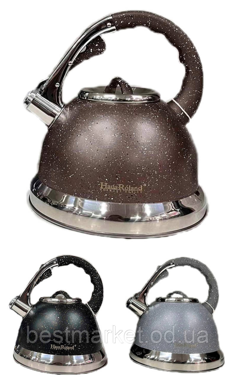 Чайник зі Свістком HausRoland HR704-5 на 3,5 л в Асортименті