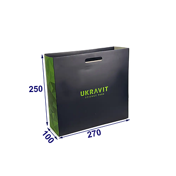 Подарунковий пакет із висічними ручками, 270х250х100 мм