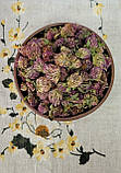 Конюшина квітки (Trifolium rubens flores) 1 кг, фото 3