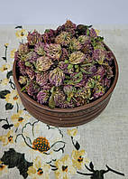 Клевер цветки (Trifolium rubens flores) 50 г