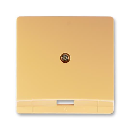 Панель телефонної розетки ABB Swing TF, PC кутова Бежевий (5013G-A00213 D1)