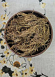 Валеріана лікарська корінь (Valeriana officinalis rhizoma) 100 г, фото 3