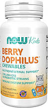 Пробіотики для дітей NOW Foods Berry Dophilus 2 Billion 60 Tabs