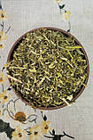 Буркун жовтий трава (Melilotus officinalis herba) 50 кг, фото 2