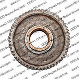 Колесо зубчасте паливного насоса СМД-14...22, 22-05С5/СМД14-05С2, фото 4