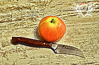 Нож ручной работы для чистки овощей и фруктов
