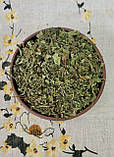 Меліса трава 1 кг, фото 2