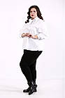 Біла стильна блузка жіноча офісна натуральна з оригінальним коміром великого розміру 60-62, фото 4
