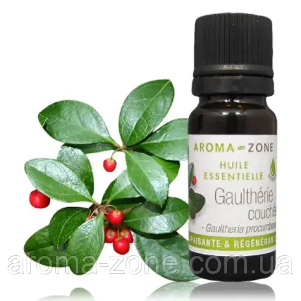 Вінтергрен/грушанка (Gaultheria procumbens) Об'єм: 10 мл