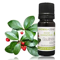 Винтергрен / грушанка (Gaultheria procumbens) Об'єм: 30 мл