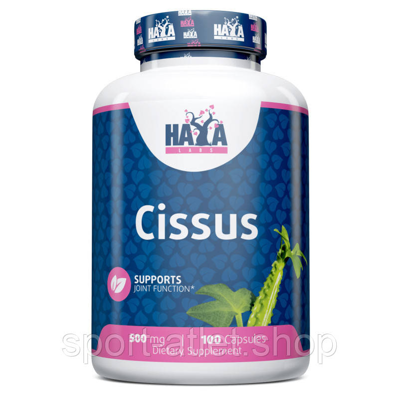 Натуральна добавка Haya Labs Cissus 500 mg, 100 капсул