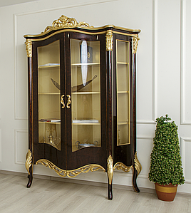 Книжкова вітрина класична і елегантна Ніка