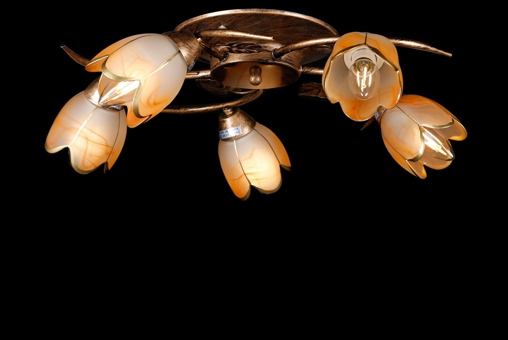 Люстри стельові з пафоном Splendid-Ray 192159