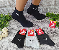 Шкарпетки чоловічі р. 41-44 спорт бавовна за 1 пару 70105