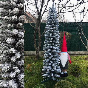 Ялинка Альпійська вузька 220 см засніжена