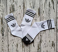 Жіночі шкарпетки Білі Adidas Adidas. Набір шкарпеток з 3 пар