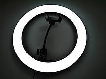 Кільцева LED-лампа S31 30 см 1 кріплення на телефон USB, фото 3