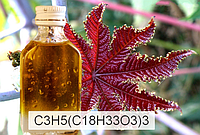 Касторова олія(олія рицини) фарм