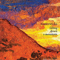 Tindersticks – Falling Down A Mountain (CD)