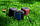 Акустична система 2E SoundXPod TWS, MP3, Wireless, Waterproof Red, фото 8