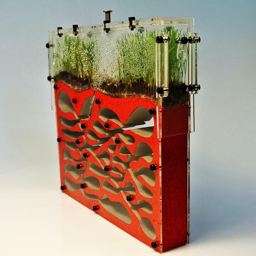 Как сделать формикарий из пенопласта - 95 фото