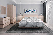 Шафа Лаер SZF2D2S 2150х900х640мм ясен сніговий + венге магія Гербор, фото 5