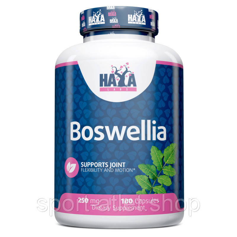 Натуральна добавка Haya Labs Boswellia 250 mg, 100 капсул