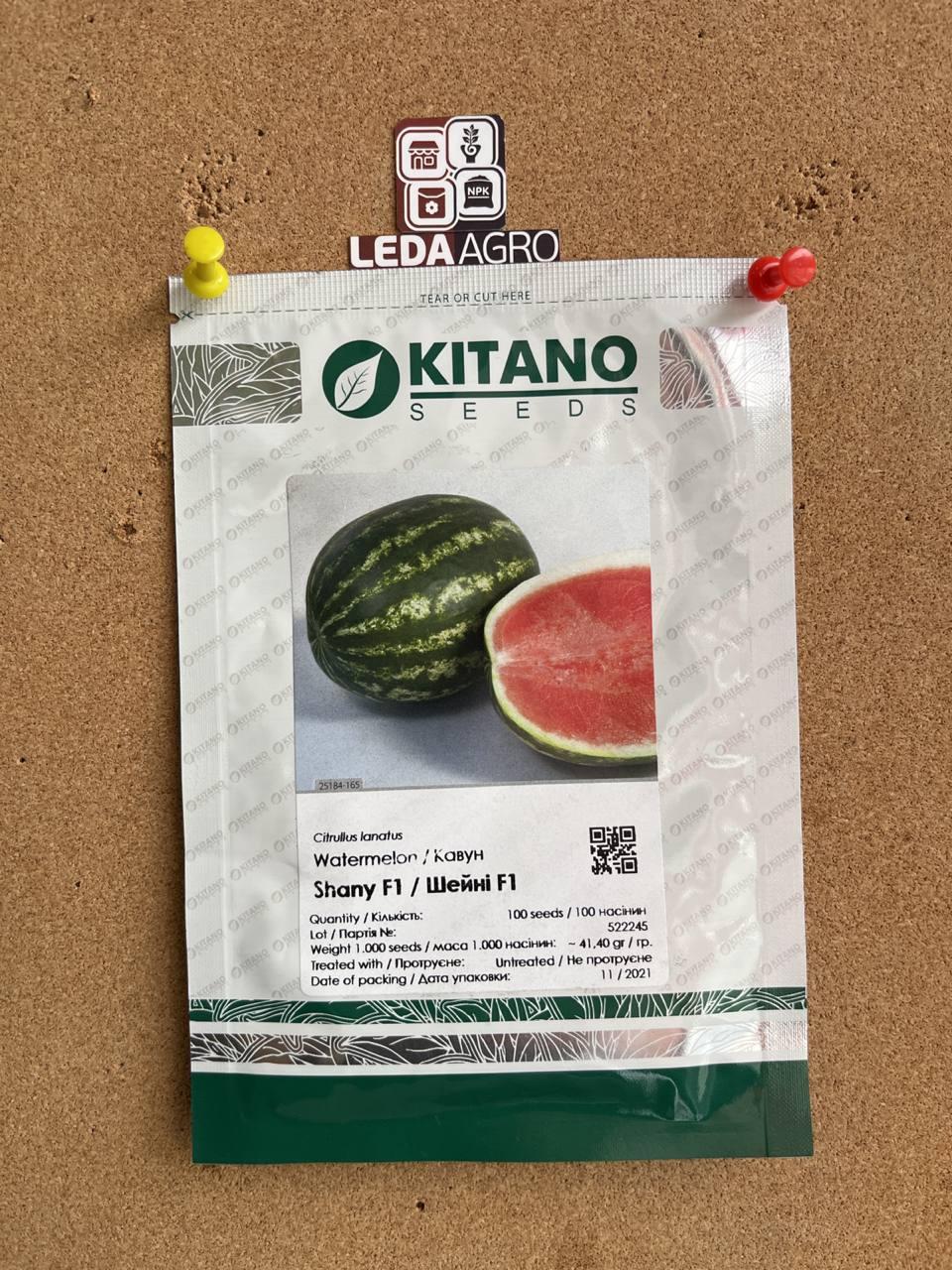 KS 163 F1 Шейни 100 шт Kitano Seeds Кавун Насіння (Арбуз Семена)